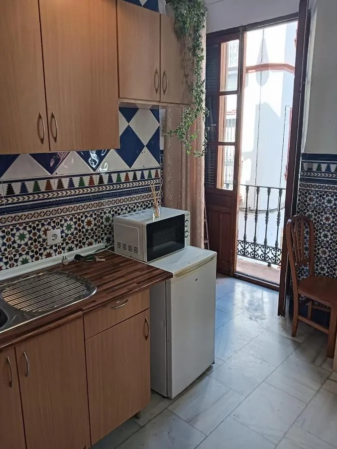 Apartamento Calle Feria Seville Apartment